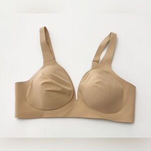 Evelyn and Bobbie Bra XS